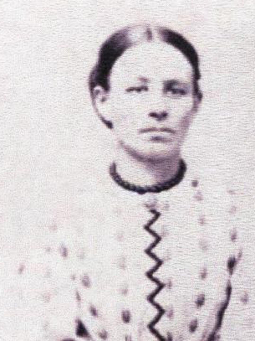 Mary Jane Champlin (1830 - 1906) Profile